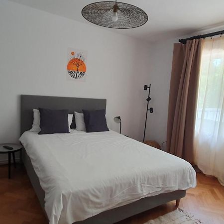 The Pines Serviced Apartments Braşov Exterior foto