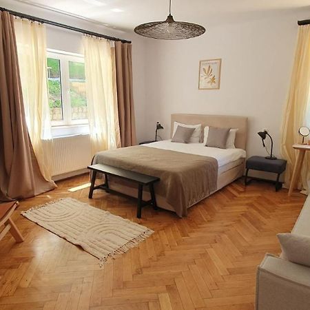 The Pines Serviced Apartments Braşov Exterior foto
